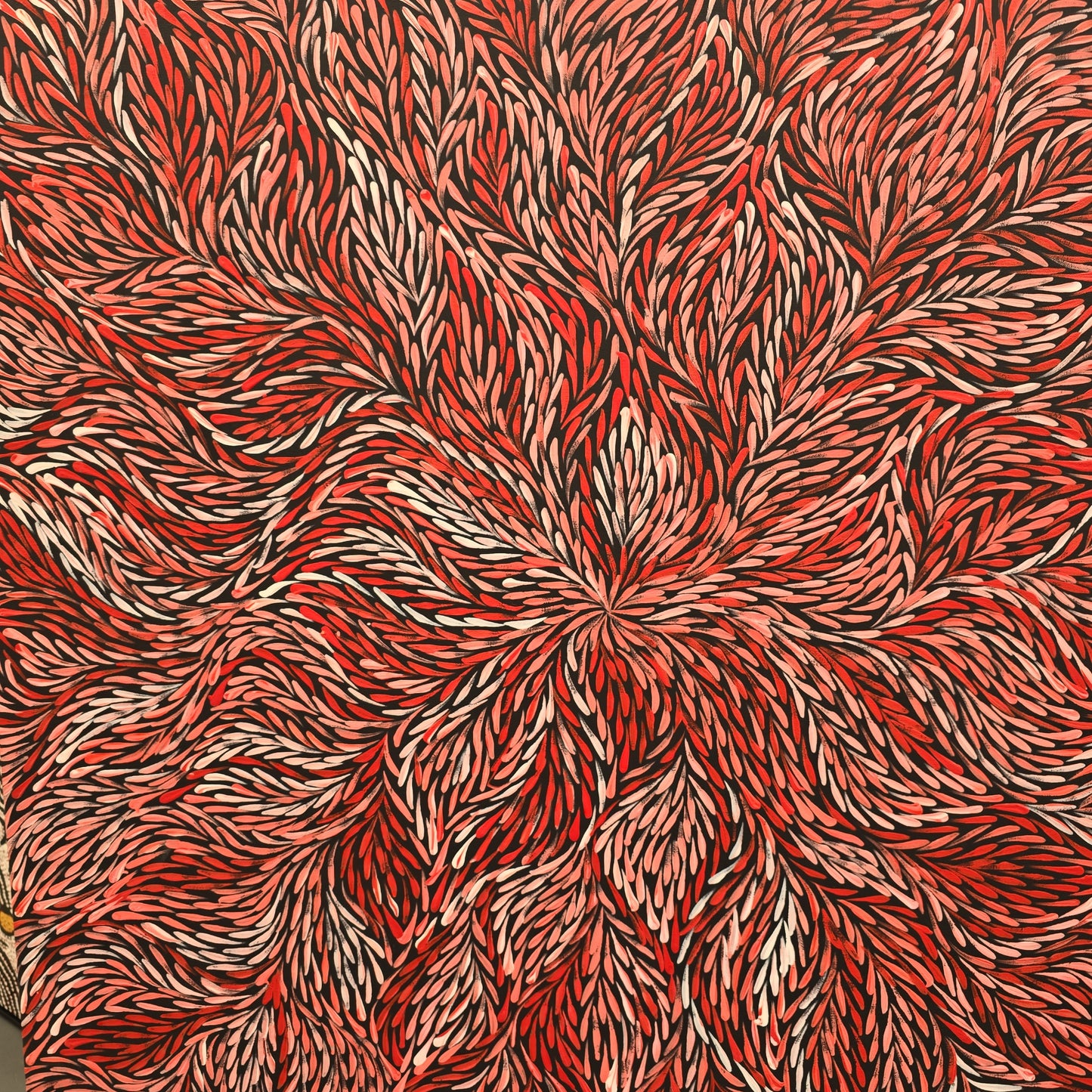 Jeannie Petyarre 920mm x 1000mm artwork