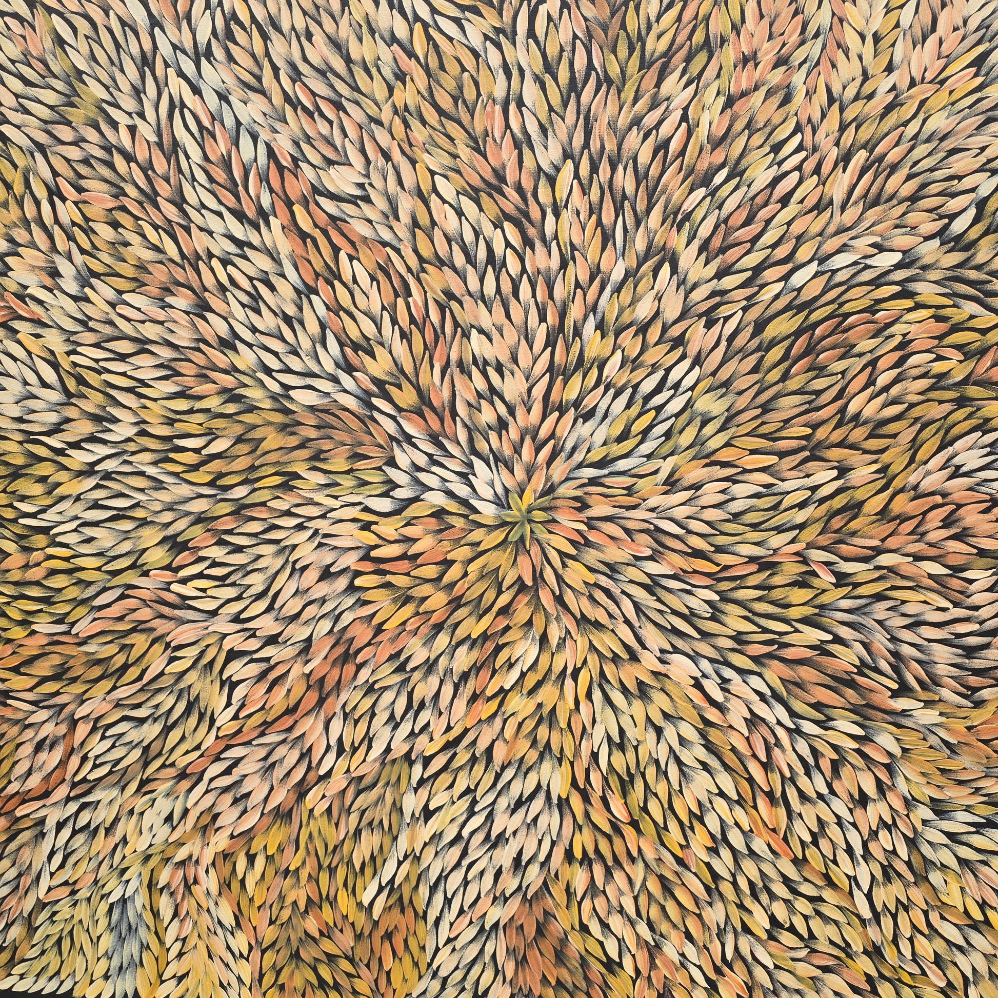 Jeannie Petyarre 960mm x 1320mm