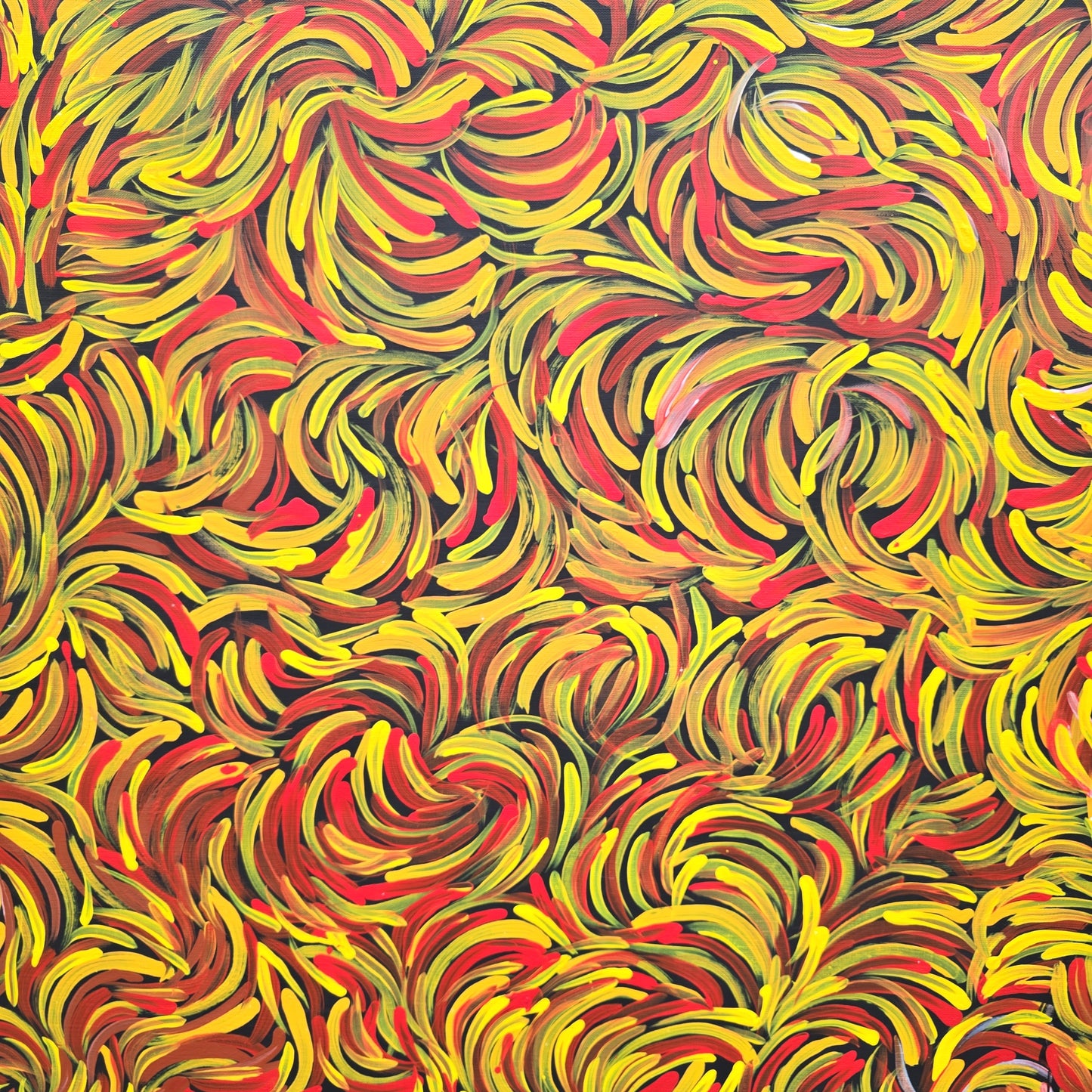 Jeannie Petyarre artwork
