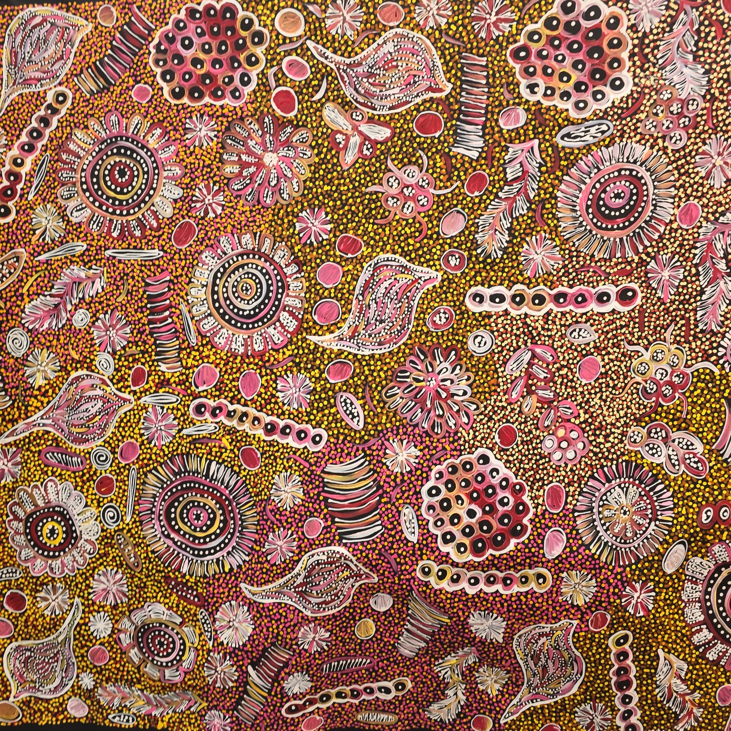 Belinda Golder Kngwarreye 1300 x 1530