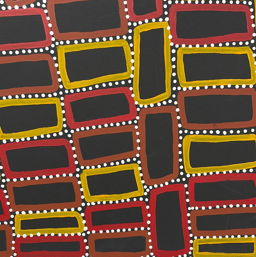 Walala Tjapaltjarri Artwork