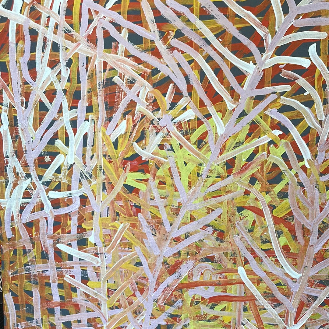 Molly Pwerle 600 mm x 800 mm Art