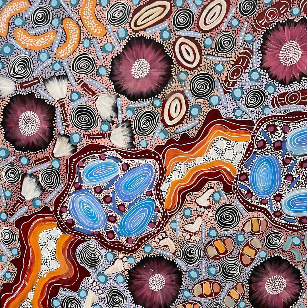 Samantha Daniels Napaltjarri 1100 x 2000