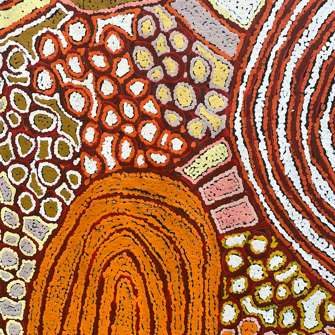 Debra Young Nakamarra 1400 mm x 2500 mm