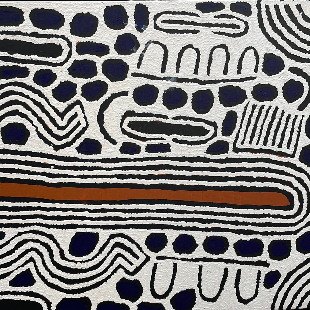 Barbara Reid Napangardi 740 x 1540mm