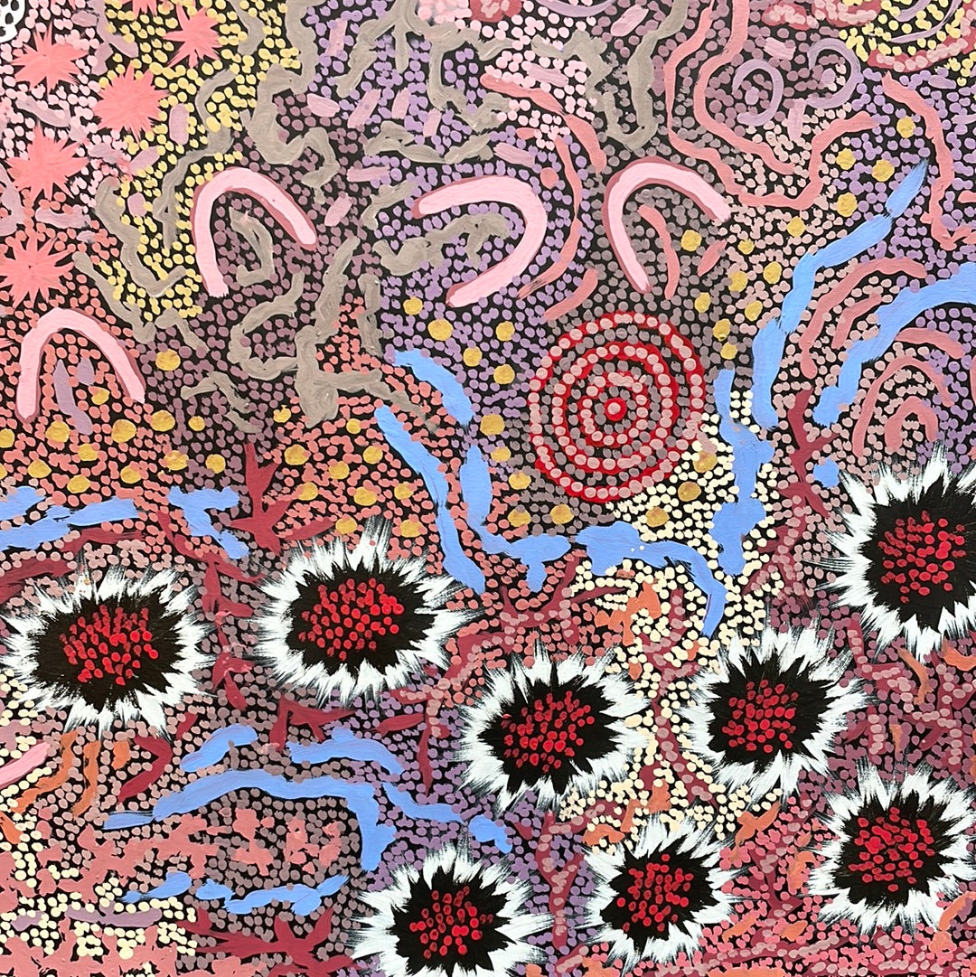 Possum Nungurrayi Art