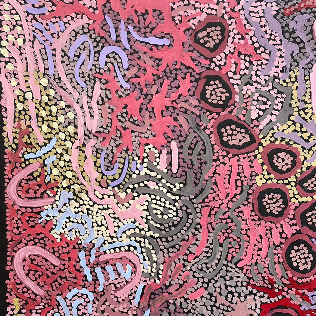 Gabriella Possum Nungurrayi Artistic Work