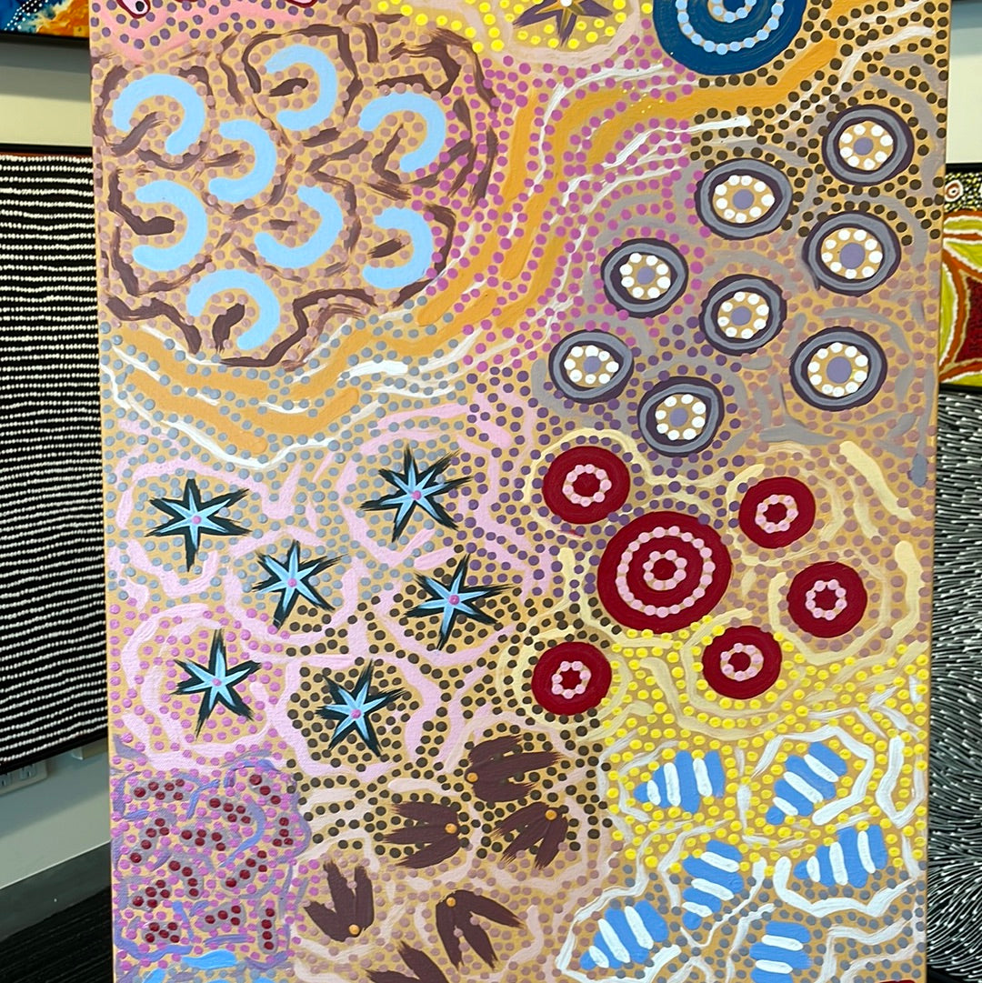 Michelle Possum Nungurrayi 500 mm x 1520 mm