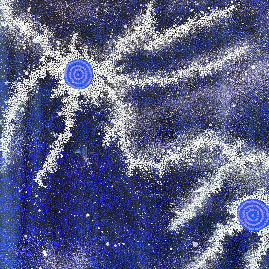 Gabriella Possum Nungurrayi Artwork