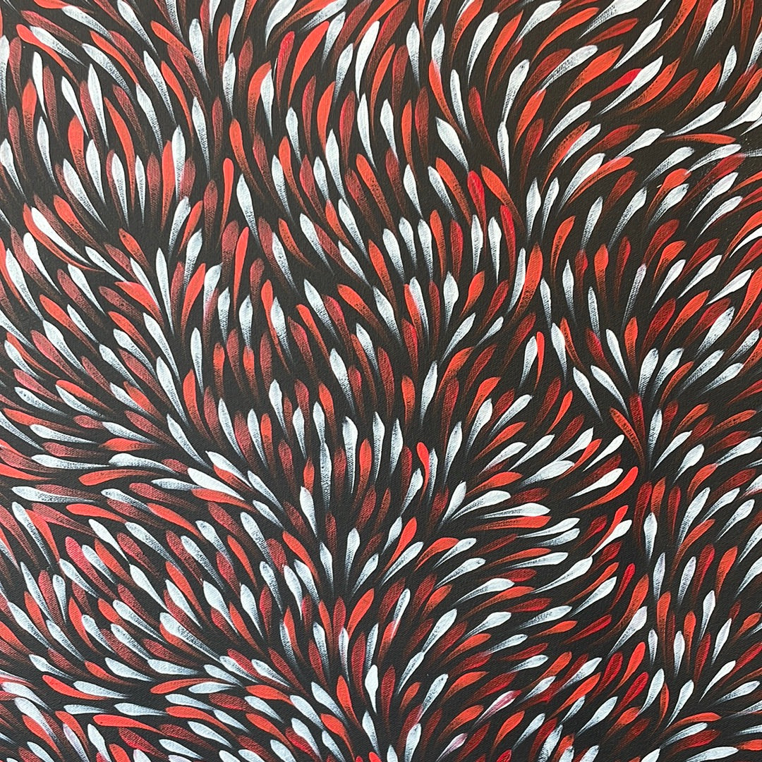 Gloria Petyarre 600 mm x 720 mm Art