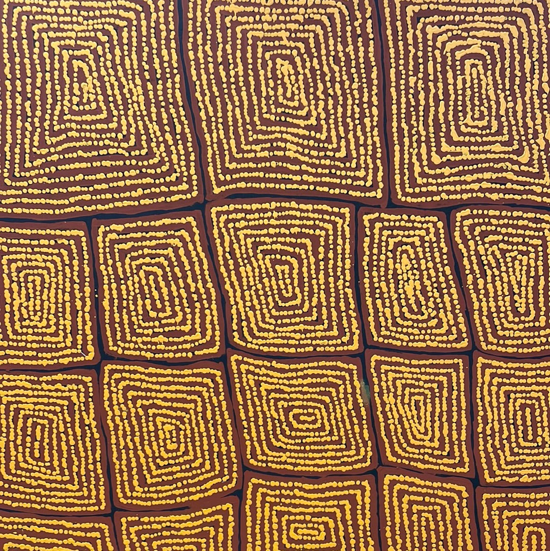 Thomas Tjapaltjarri 960 mm x 1500 mm
