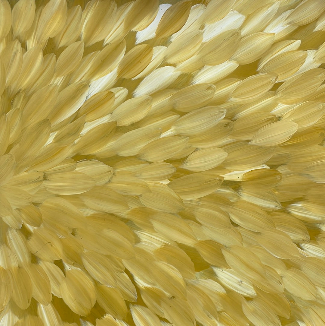 Gloria Peryarre 960 mm x 1520 mm Art