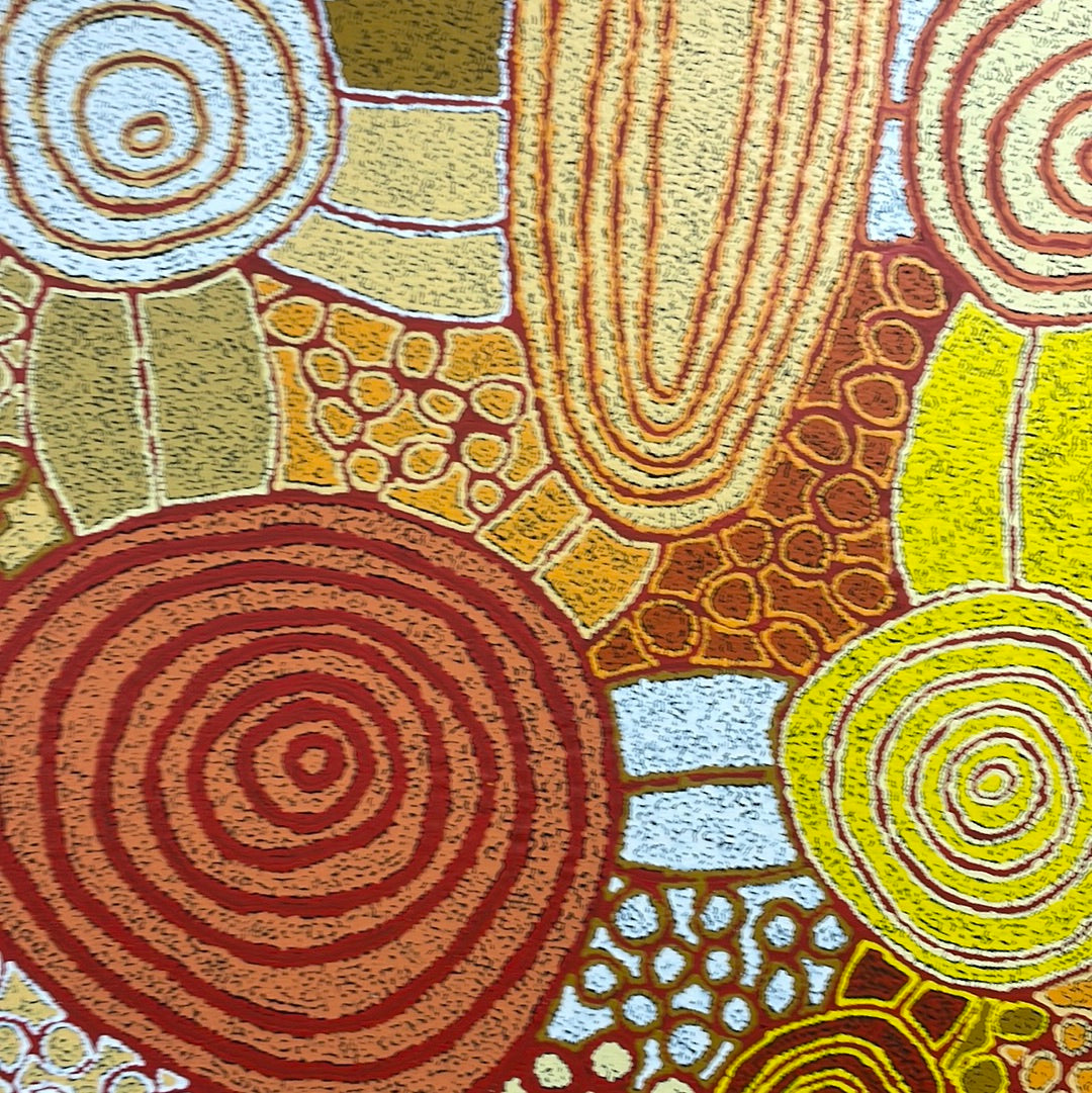 Katherine Nakamarra Artistic work