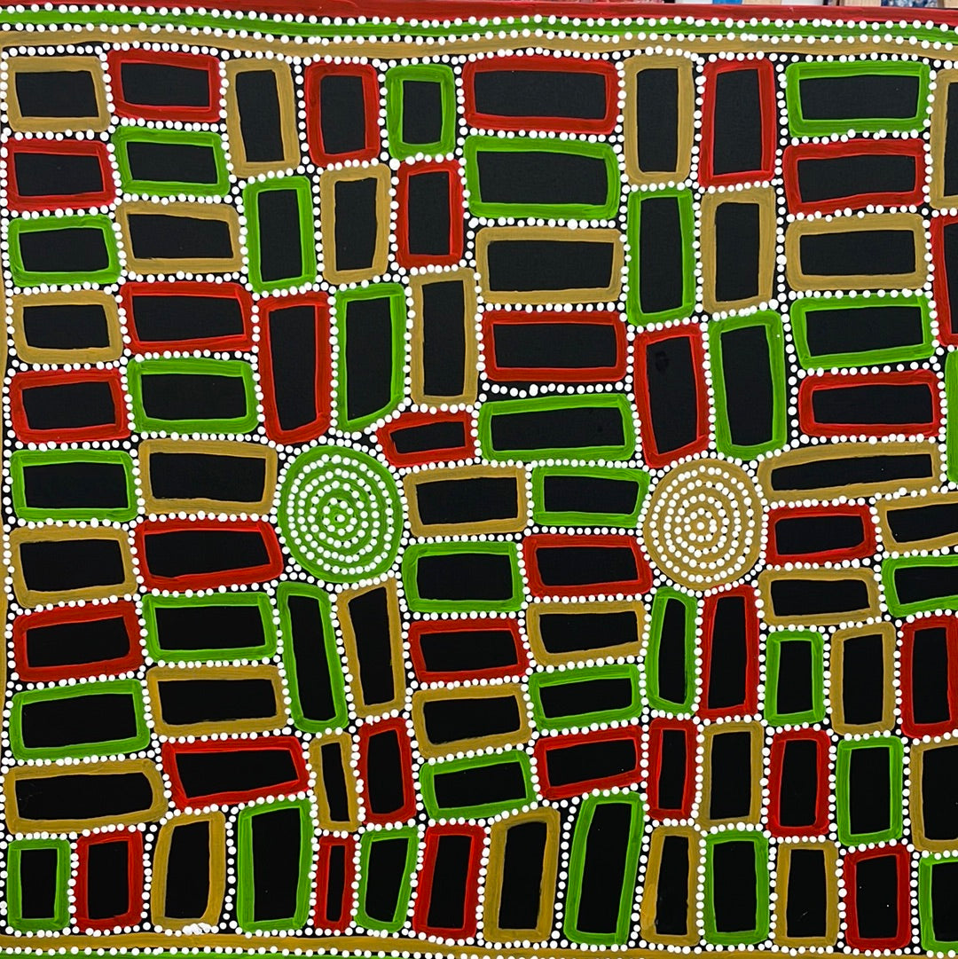 Walala Tjapaltjarri 950mm x 1560mm