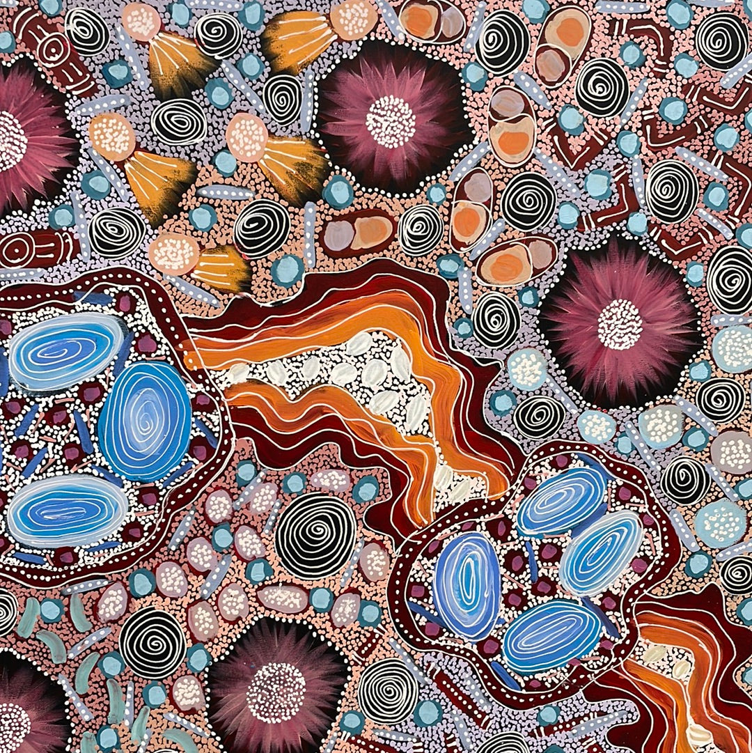 Samantha Daniels Napaltjarri 1100 x 2000