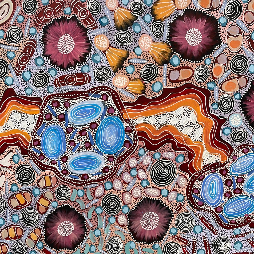 Samantha Daniels Napaltjarri 1100 x 2000