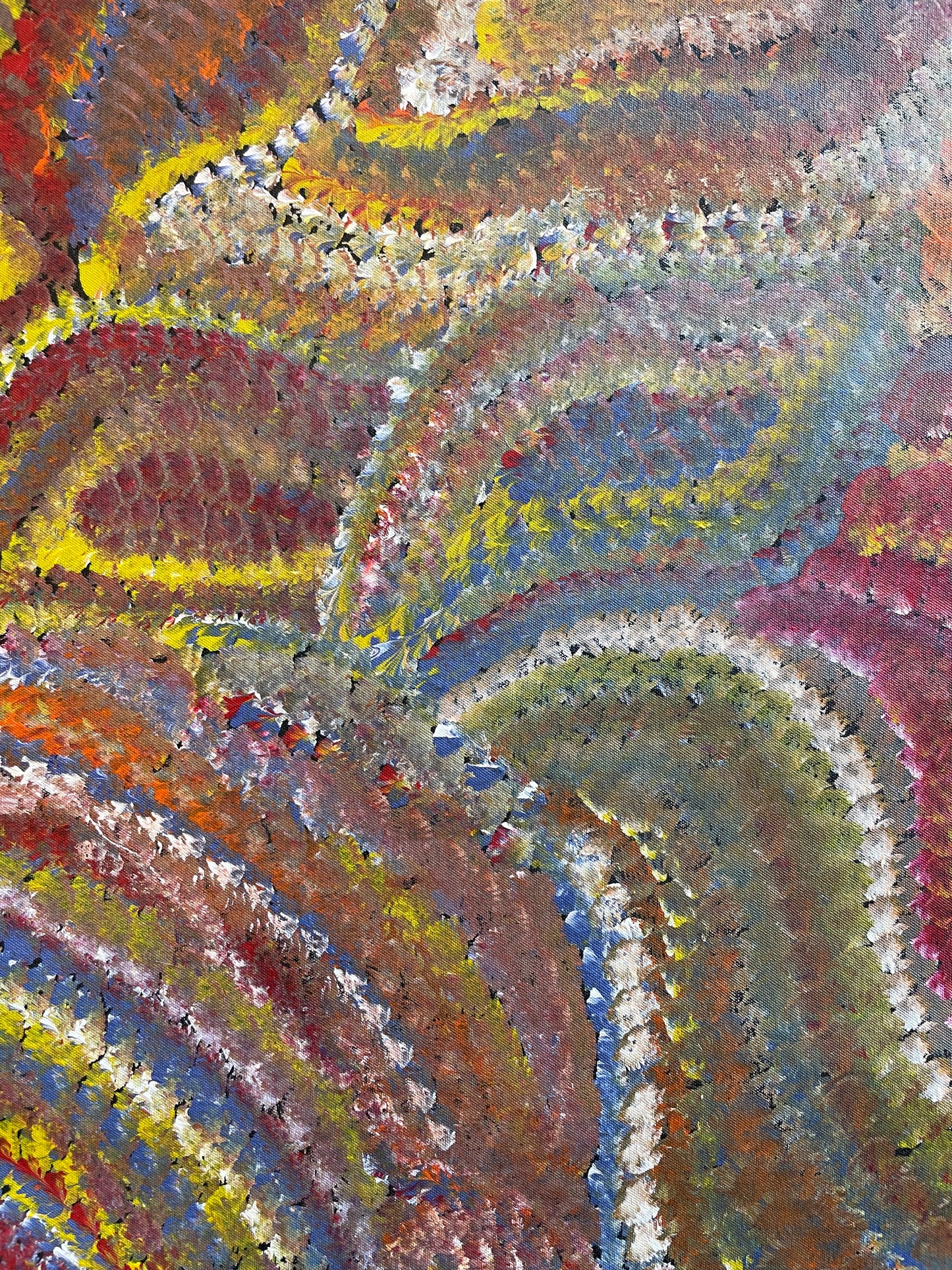 Joy Purvis Petyarre 885 mm x 950 mm