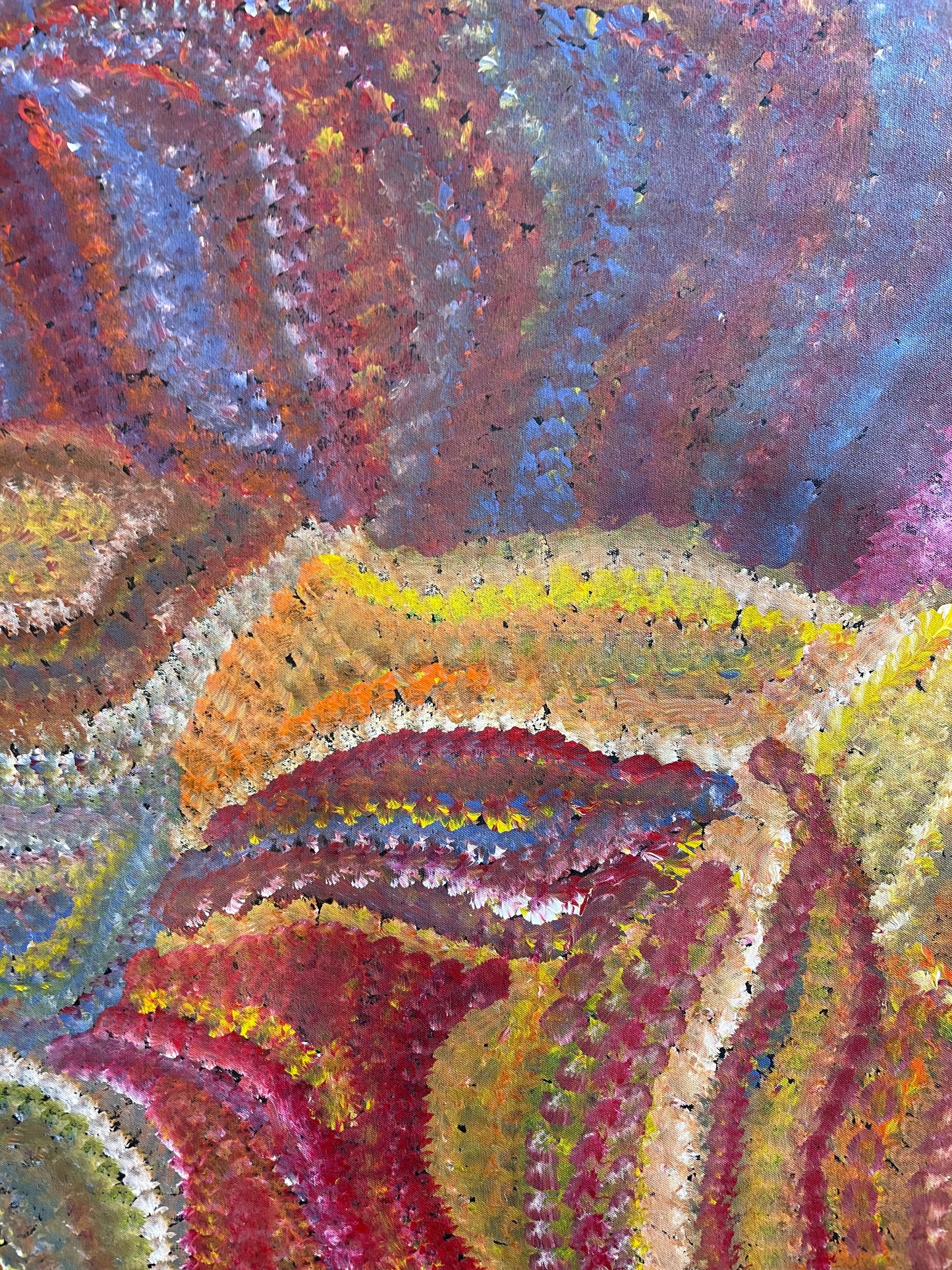 Joy Purvis Petyarre 885 mm x 950 mm