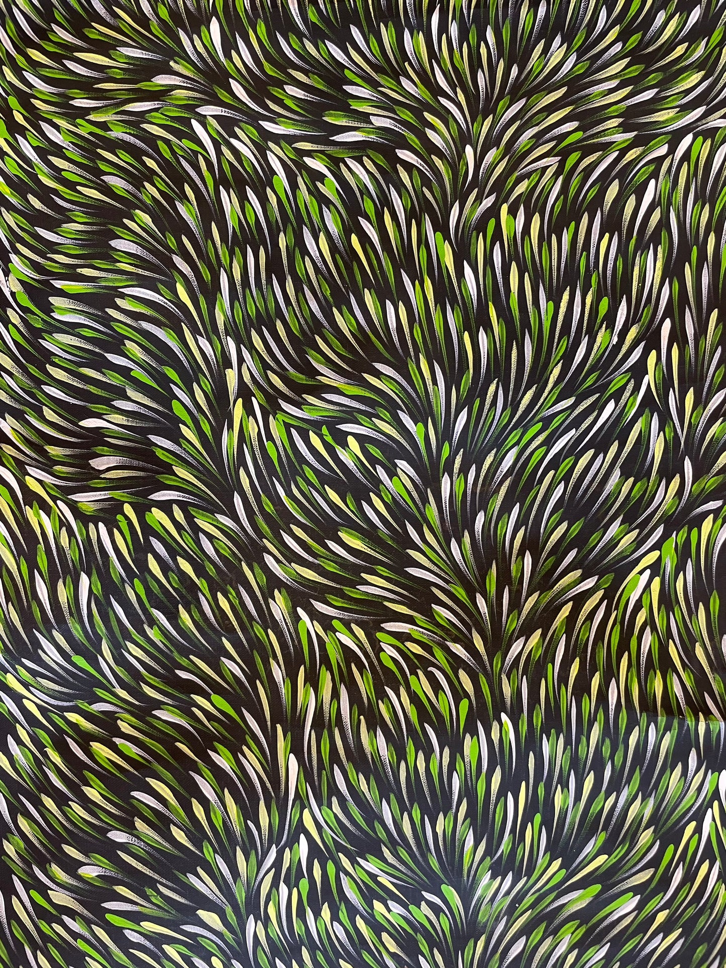 Gloria Petyarre 580 mm x 2040 mm Art