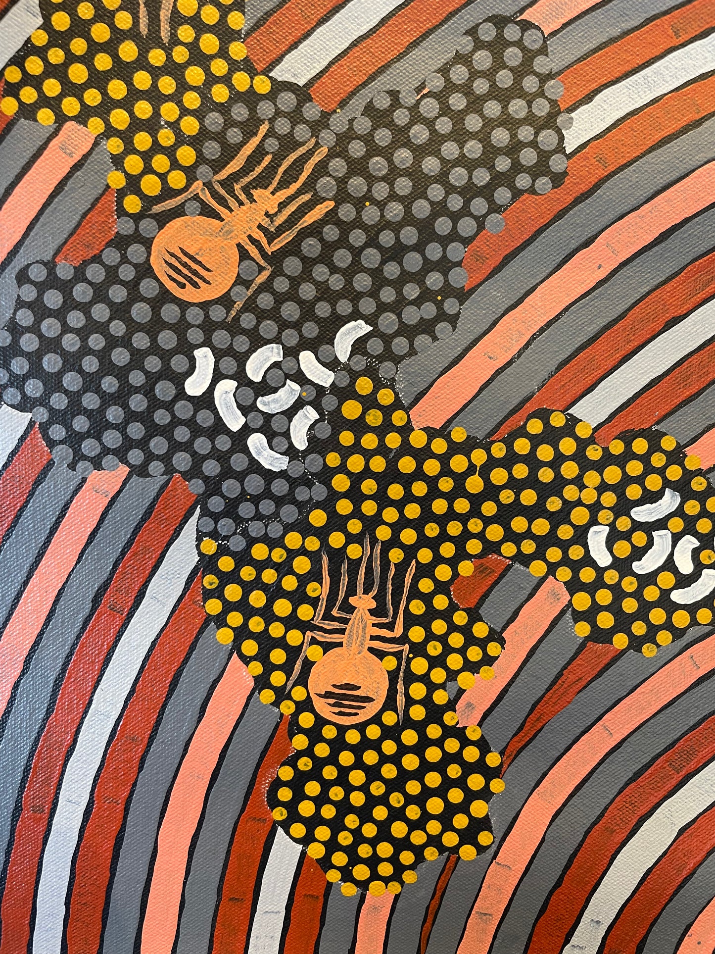 Danny Possum 920 mm x 980 mm