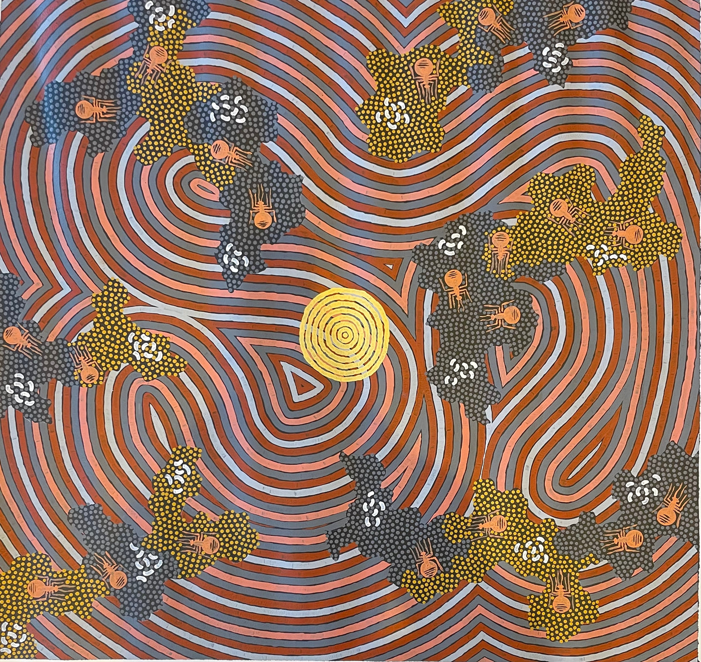 Danny Possum 920 mm x 980 mm