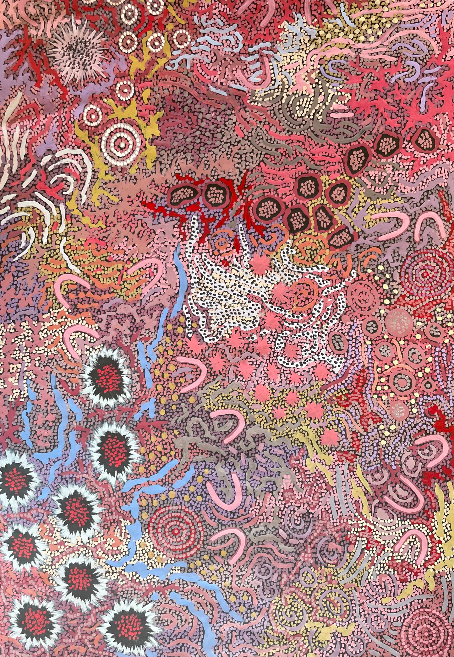 Gabriella Possum Nungurrayi Artwork