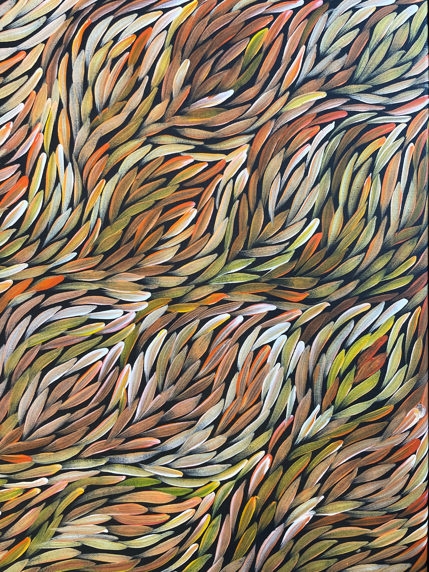 Jeannie Petyarre 1110 mm x 2030 mm