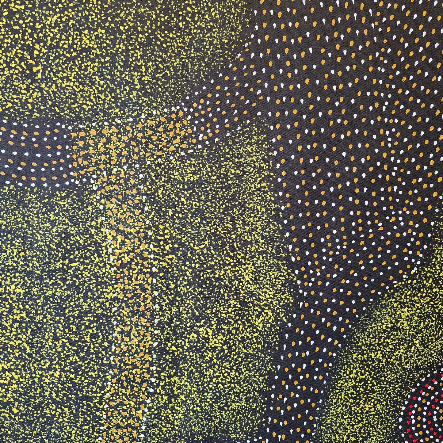 Roseanne Morton 900 mm x 960 mm
