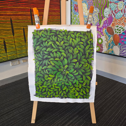 Morita Ward 450 mm x 550 mm