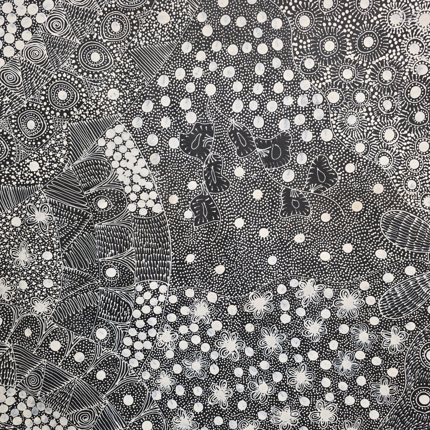 Tanya Bird art aboriginal