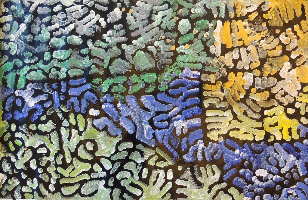 Lorna Fencer Napurrula 820mm x 1260mm