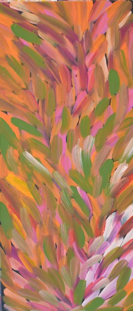 Jeannie Petyarre 380mm x 800mm