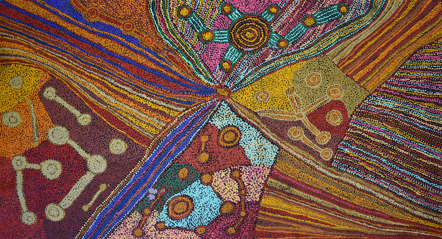 Samantha Daniels Napaltjarri Artwork