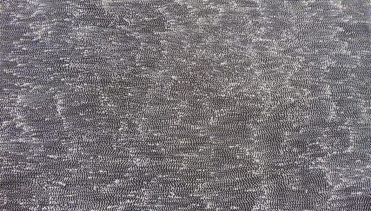 Sabrina Robertson Nangala Art