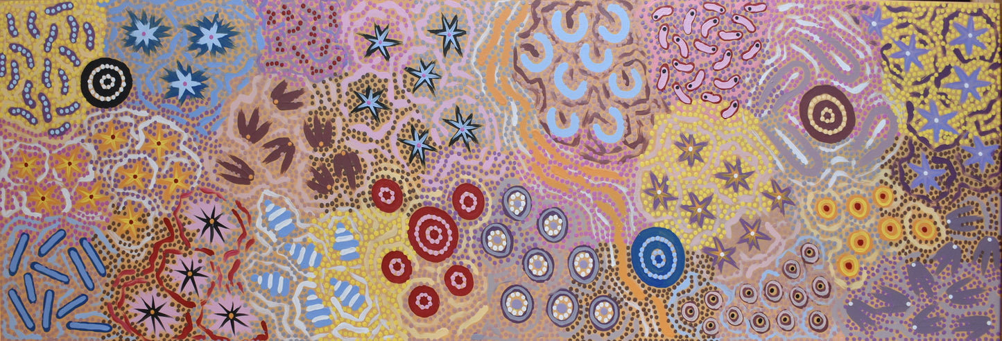 Michelle Possum Nungurrayi 500 mm x 1520 mm