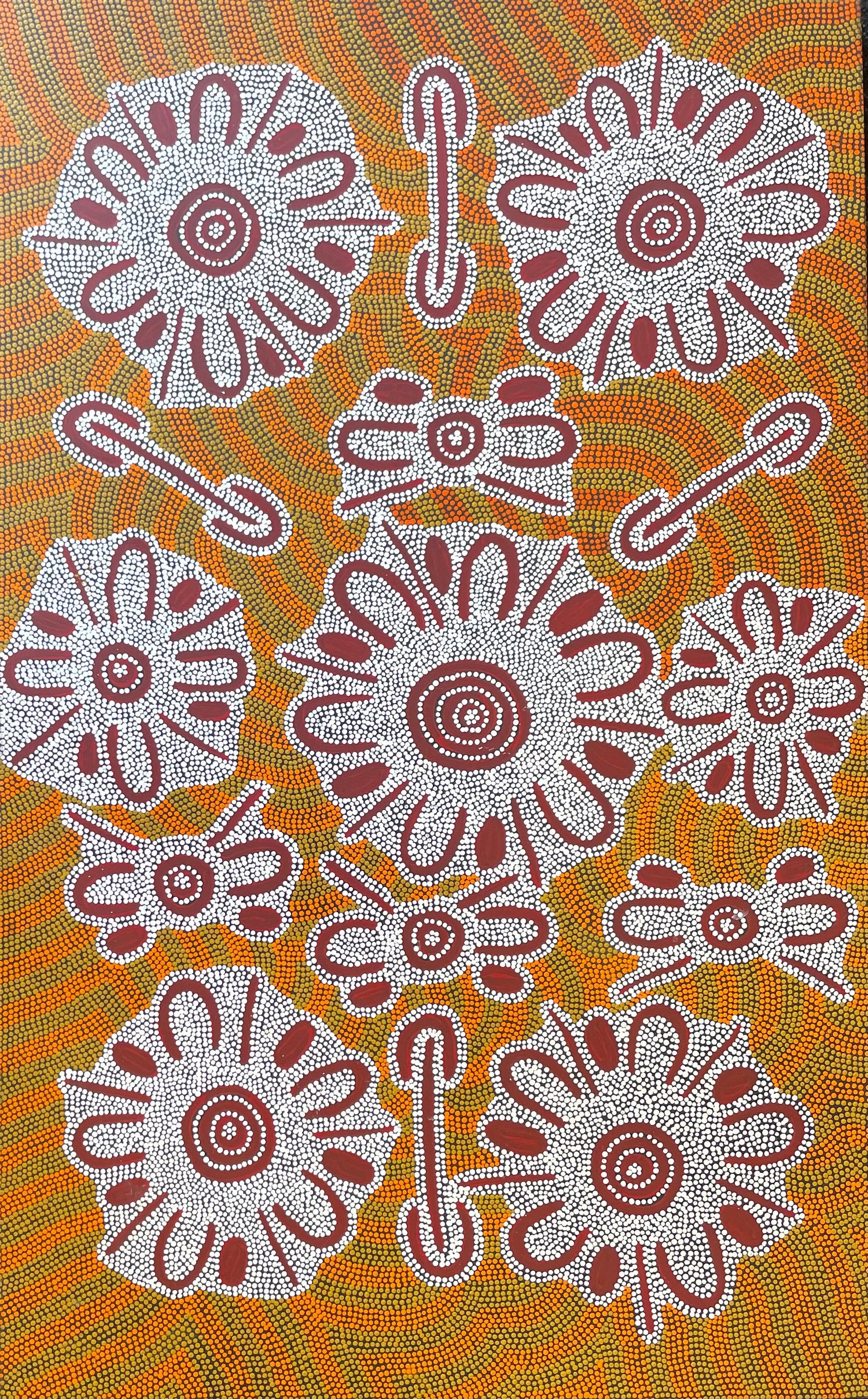 Rosemary Porter Nampitjinpa