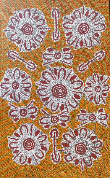 Rosemary Porter Nampitjinpa