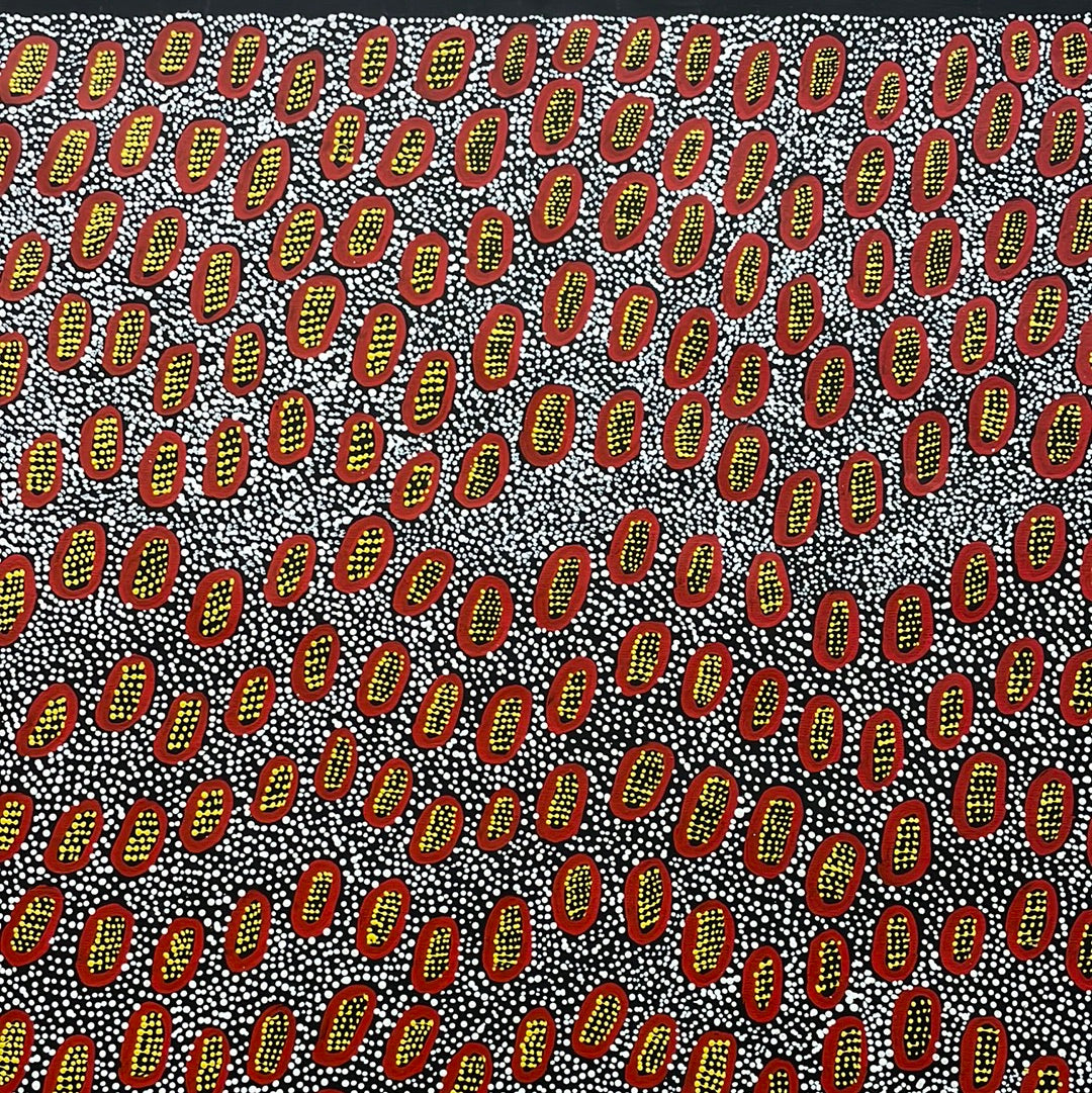 Ngoia Pollard Napaltjarri 1070 mm x 1480 mm