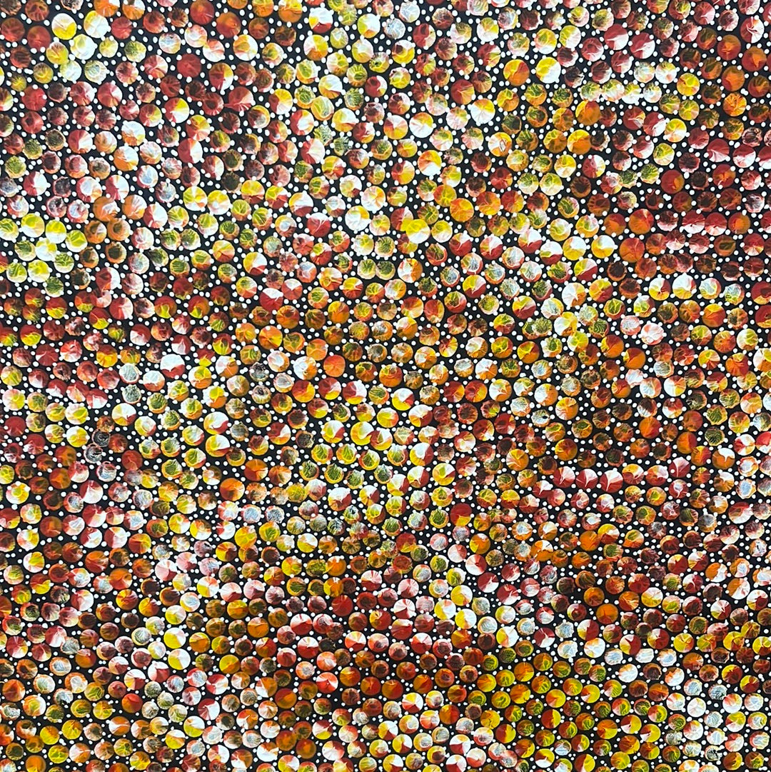 Tanya Bird art aboriginal