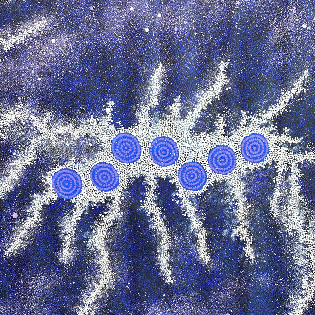  Possum Nungurrayi Artwork