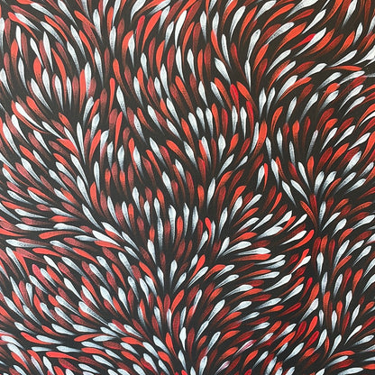 Gloria Petyarre 600 mm x 720 mm Art