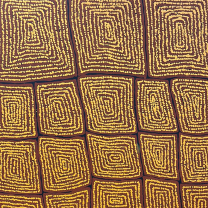 Thomas Tjapaltjarri	960 mm x 1500 mm