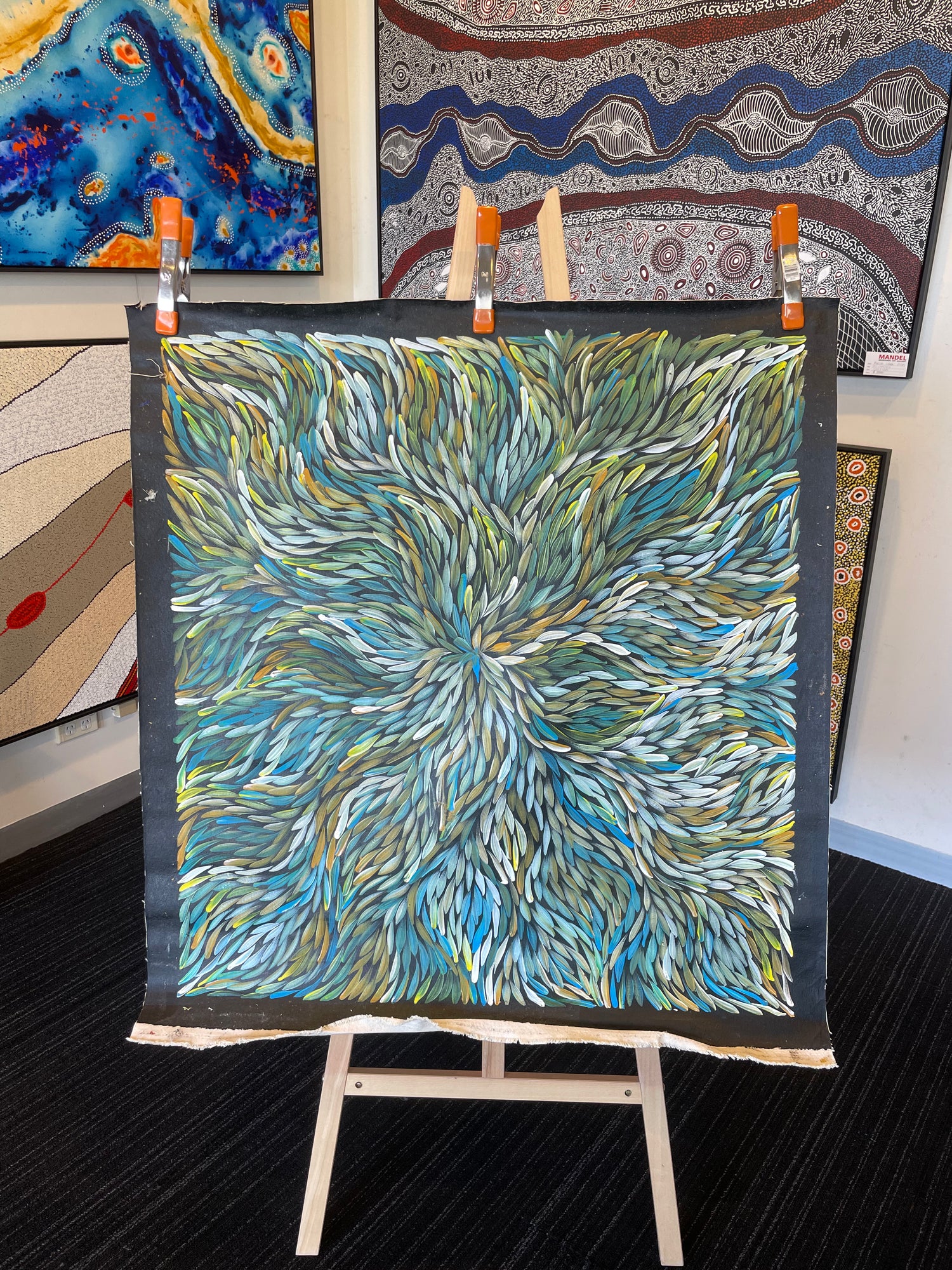 Bush Medicine and Desert Flora by bethany nelson nabanangka