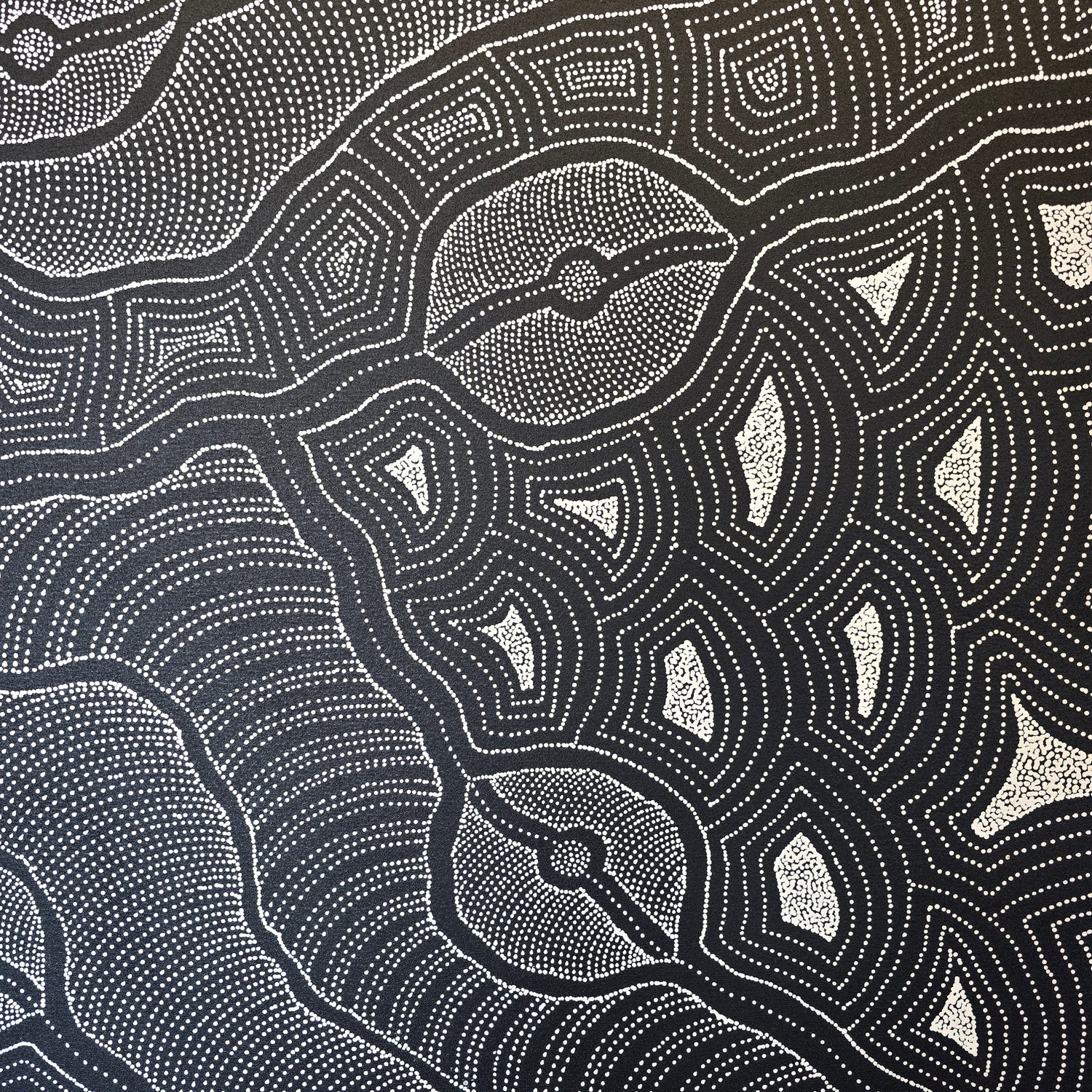 delvine pitjara aboriginal art