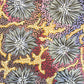 Gabriella Possum 400 mm x 500 mm