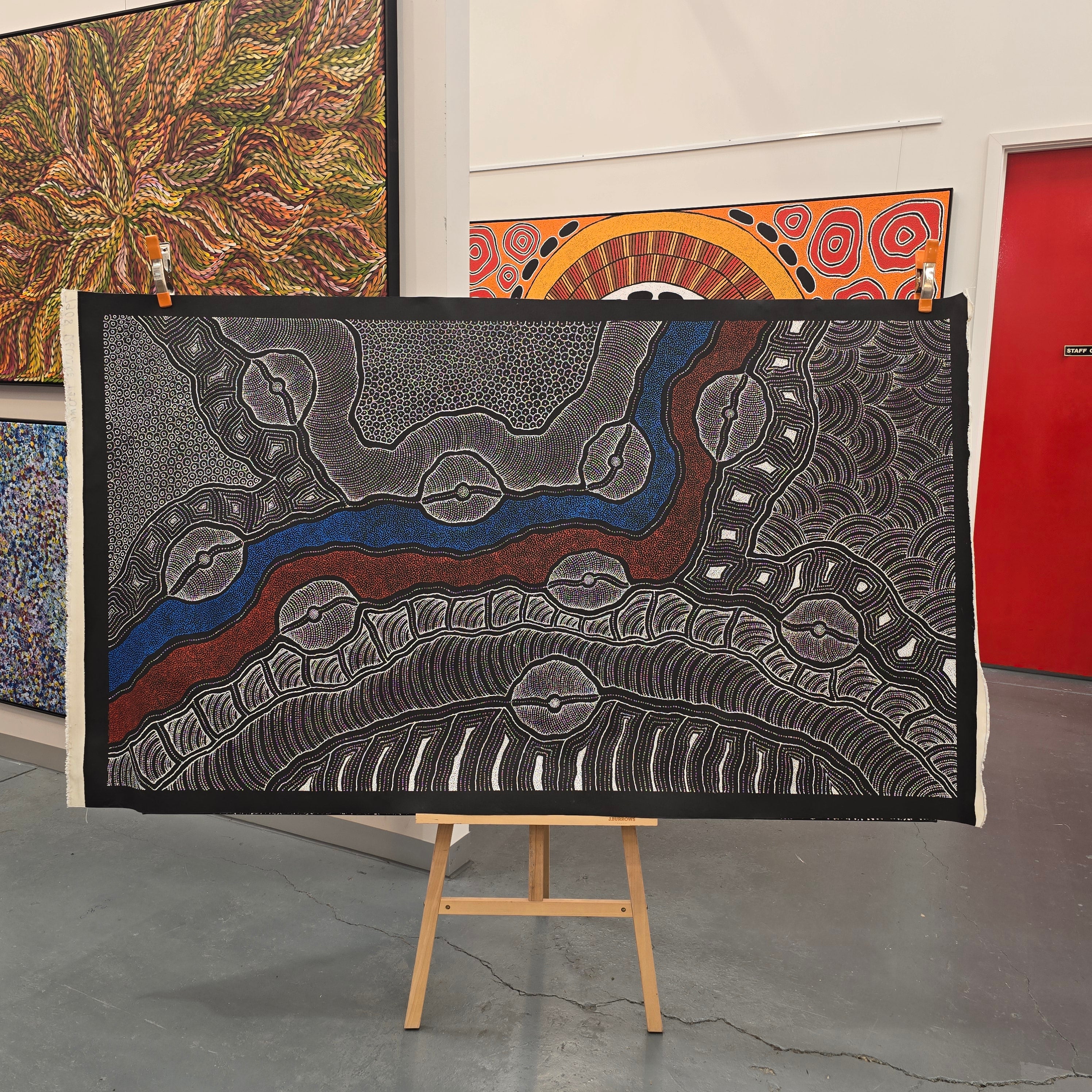 delvine pitjara's sand hills & waterholes my county paintings