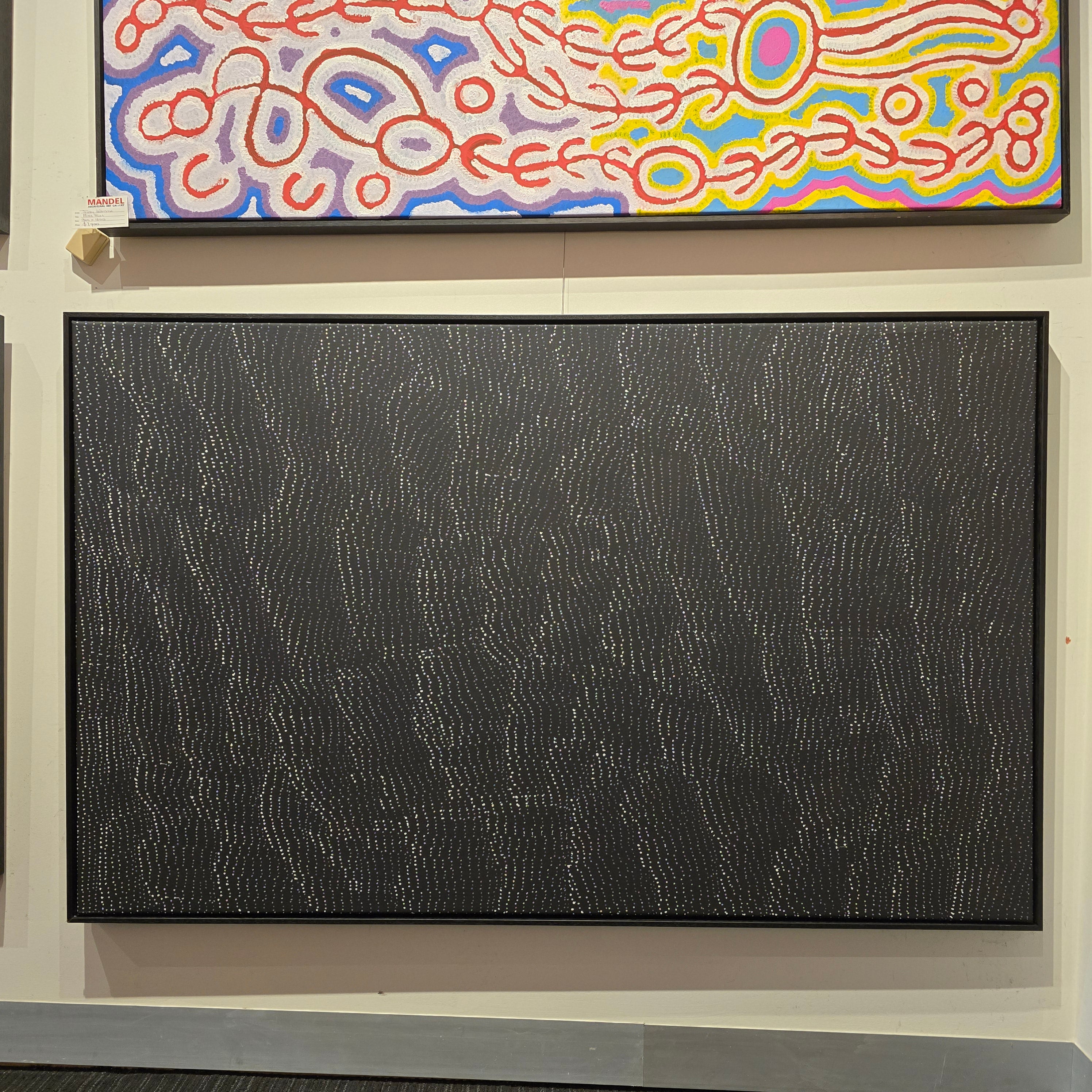 Lily Kelly Napangardi Bio & Artwork – Visit or Call us Today