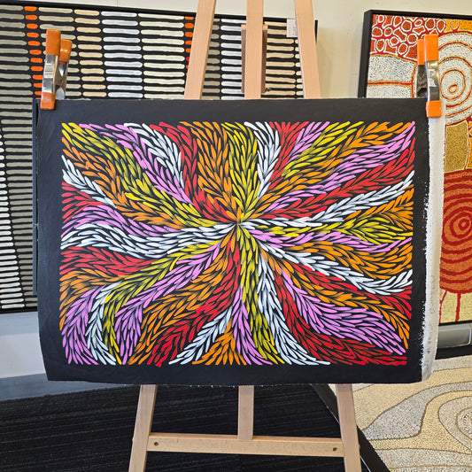 Jeannie Petyarre 500 mm x 710 mm