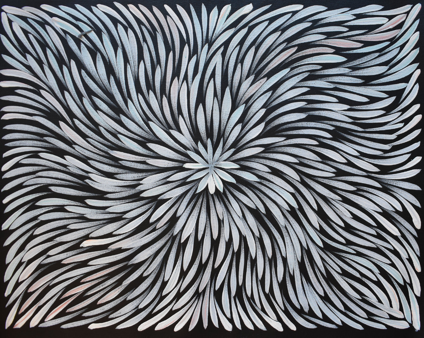 Sharon Numina 350 mm x 450 mm